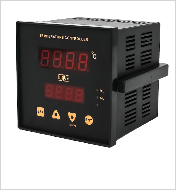 Process Indicator -Dual Display